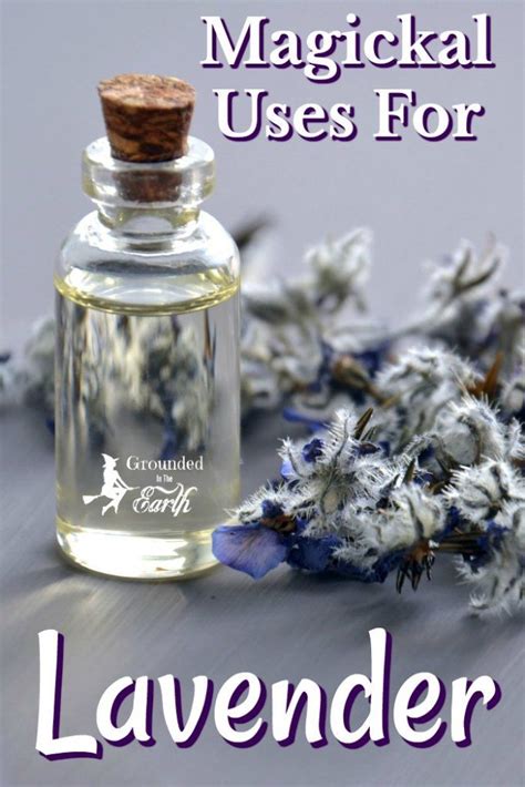 Lavender Is Such A Magical Herb These Magickal Uses For Lavender Are