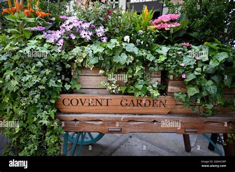 Traditional Fruit And Vegetable Market Barrow Covent Garden