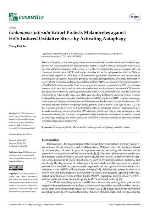 Pdf Codonopsis Pilosula Extract Protects Melanocytes Against H2o2