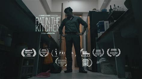 Rat in The Kitchen: New short film reveals the horrors of solo living ...