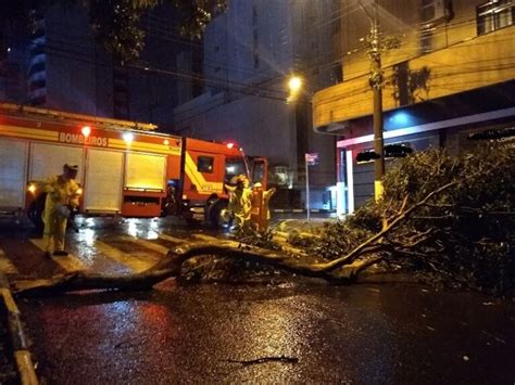 Cidades Do Oeste De Sc Registram Destelhamentos E Queda De Rvores Ap S