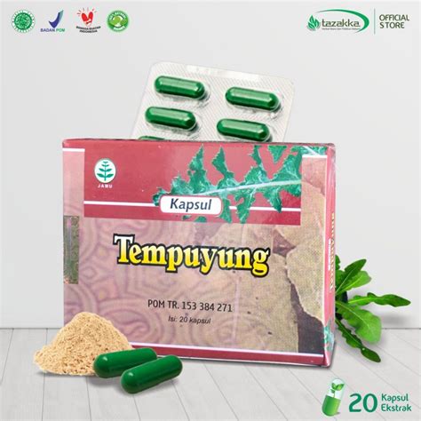 Jual Kapsul Ekstrak Tempuyung Herbal Tazakka Asli Obat Batu Ginjal ISK