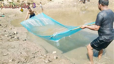 Traditional Net Fishingcatch Fishनदीयोमे मछली पकड़ने का सबसे आसान