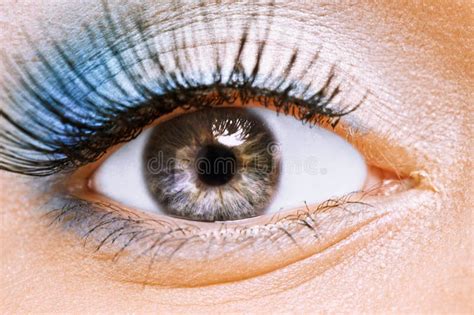 Blue Woman Eye Makeup Spring Flowers Metaphor Stock Photo Image Of