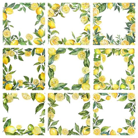 Watercolor Lemon Frames Clipart Lemon Clipart Frames Borders Png