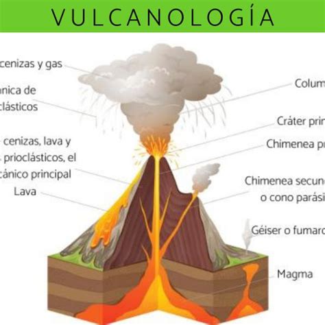 Persona Enferma Realimentaci N Tendero Nombres De Las Partes De Un