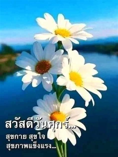 ปักพินโดย Siriphin ใน Goodmorning ดอกไม้สีเหลือง อรุณสวัสดิ์ วันศุกร์