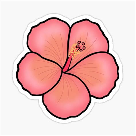 Hibiscus Flower Sticker By Maeshea13 Redbubble