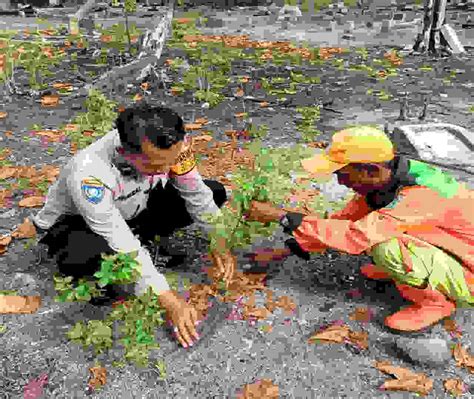 Polsek Kepulauan Seribu Utara Dan Warga Bersatu Tanam Pohon Demi