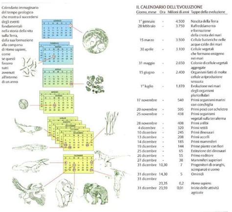 Evoluzione In Enciclopedia Dei Ragazzi Treccani