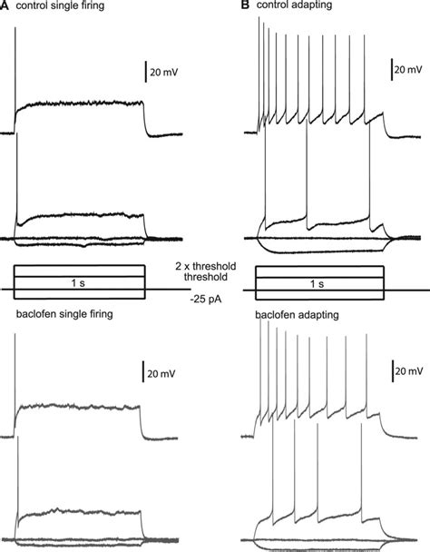 Effects Of Baclofen On Action Potential Firing In Ceam Neurons A Download Scientific Diagram