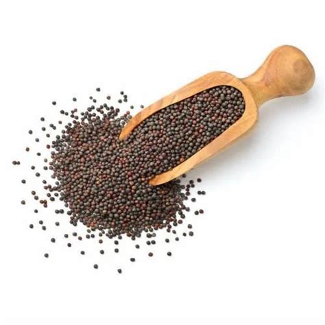 Black 100 Kg Mustard Seed Small At ₹ 82kilogram In Bengaluru Id