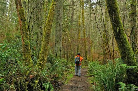 Island Center Forest — Washington Trails Association