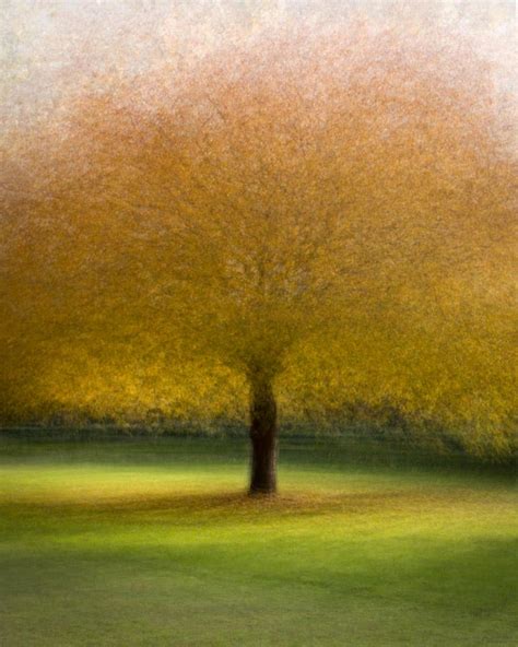 Impressionistic Photography