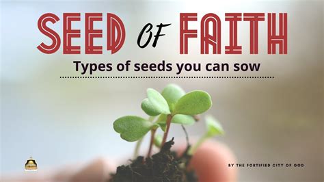 SEED OF FAITH By Bro Ade TYPES OF SEEDS YOU CAN SOW TFCOG TV