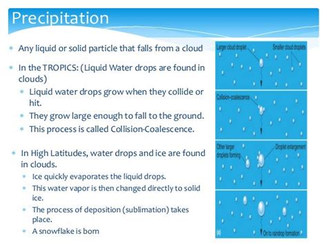 Precipitation Types