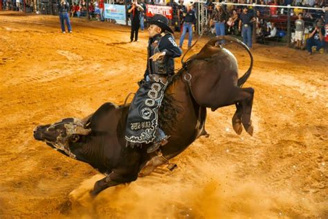 Euforia E Casa Cheia Marcam A Abertura Do Rodeio Show Brasil Da Expo