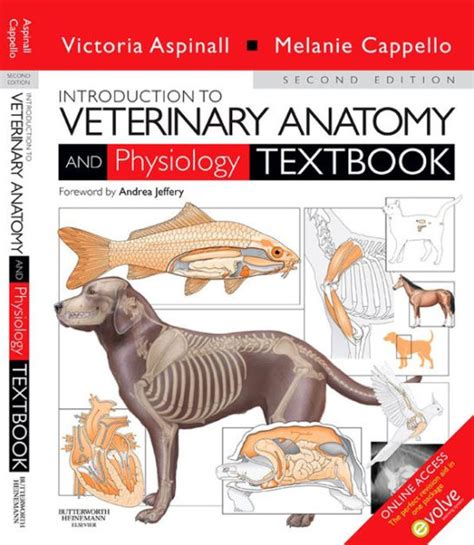 Introduction To Veterinary Anatomy And Physiology E Book By Victoria