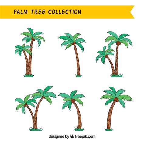 Free Vector Various Hand Drawn Palm Trees With Coconuts