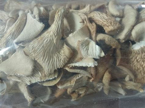 Home Grown Karnataka Dried Oyster Mushroom Packaging Type Pp Bag