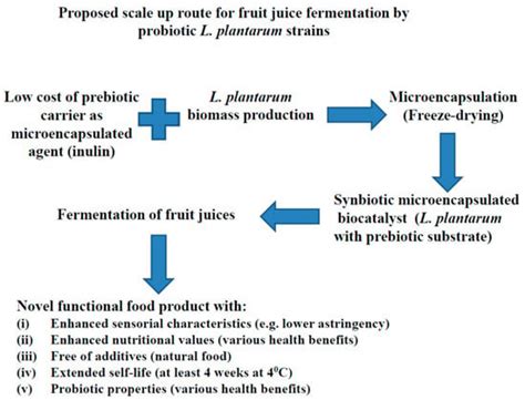 Fermentation Free Full Text Advancements In The Use Of Fermented Fruit Juices By Lactic Acid