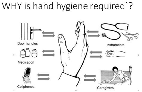 Role And Importance Of Barrier Nursing In Infection Control Practices