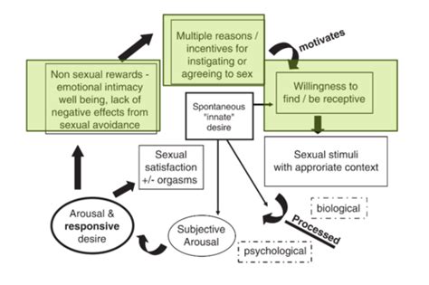 Week 10 Sexual Function And Dysfunction Flashcards Quizlet