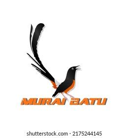 Burung Murai Batu Logo Vector Orange Stock Vector Royalty Free