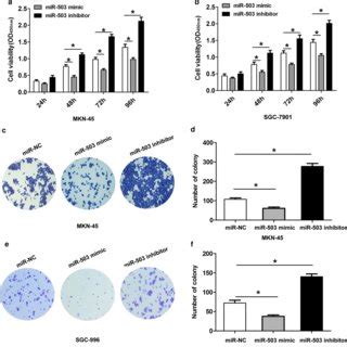 Mir Suppresses Cell Proliferation And Invasion Of Gc Cells By