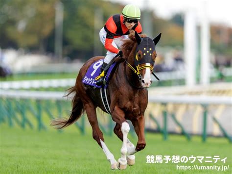 【有名人の予想に乗ろう！】大阪杯2023 徳光和夫さん、山本昌さんほか多数！競馬大好き芸能人・著名人がガチ予想！｜競馬ニュース｜競馬予想のウマニティ