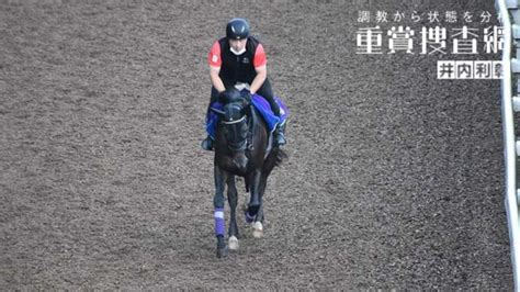 【神戸新聞杯 2021】最終追い切りを動画で解説井内利彰 競馬予想動画 Netkeiba