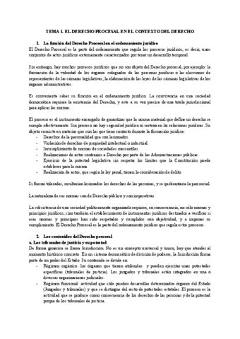 Derecho Procesal I Temas Pdf