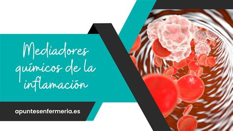 Mediadores Qu Micos De La Inflamaci N Apuntes Enfermer A