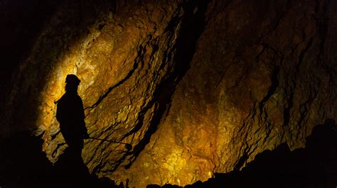 Montana bats tested for fungus wiping out millions of them nationally