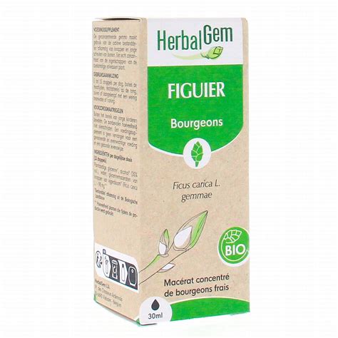 Herbalgem Figuier Ml Parapharmacie Prado Mermoz