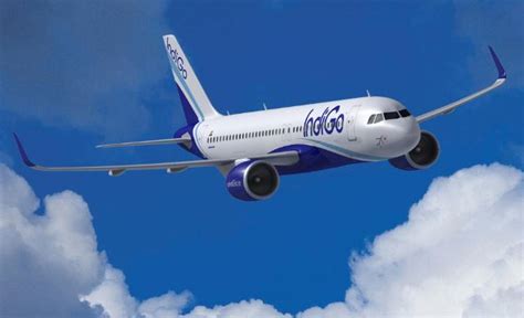 Indigo Airlines Dhaka Office Ticket Booking Sales