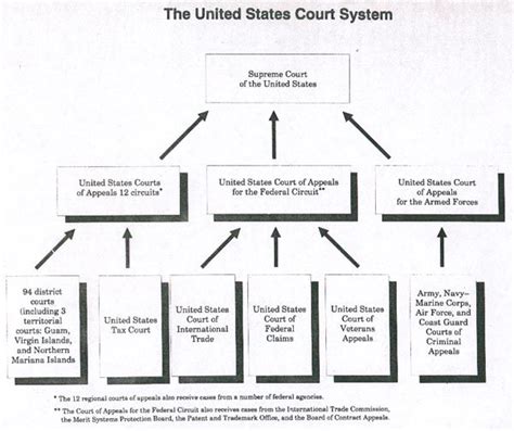 Diagram Of The Structure Of The Federal Court System The Dua