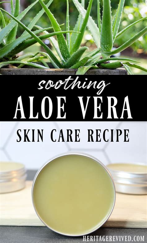 Simple Aloe Vera Salve Artofit