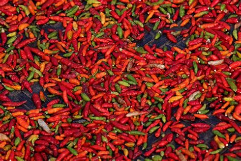 Hot Head Pepper Company Hot Head Pepper Company