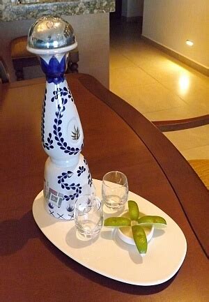 Discover the Truth: Are Clase Azul Bottles Hand Painted?