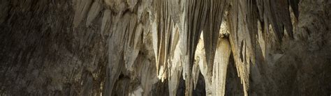 Are Dogs Allowed Carlsbad Caverns National Park New Mexico