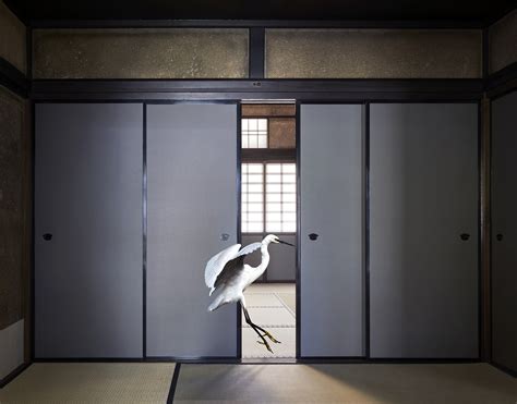 Mon Once Only Obai In Kyoto Karen Knorr