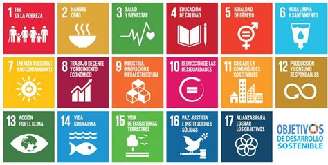 Los Ods Como Herramienta De Sustentabilidad Carbon Neutral