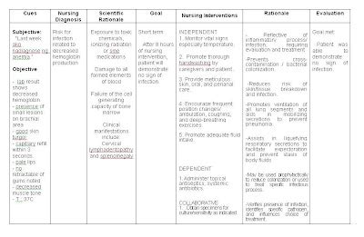 Diabetic Ketoacidosis Nursing Care Plan For Dka Pdf