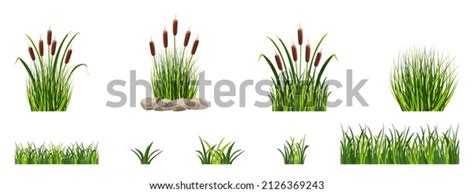 187 Tall Grass Vector Seamless Images, Stock Photos & Vectors ...