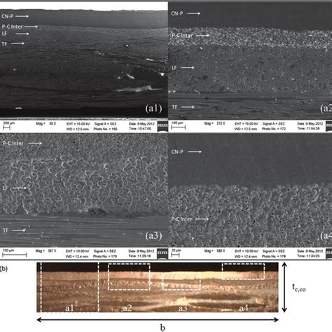 Scanning electron microscope (a) images, (b) location of images on ... 