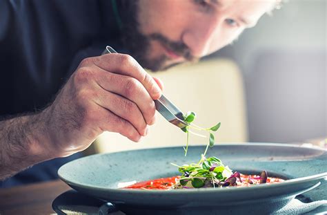 Estudiar Gastronomía en la Era Moderna Bremen Institucional