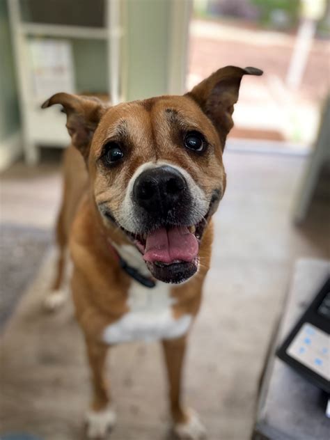 Oakley finds a home