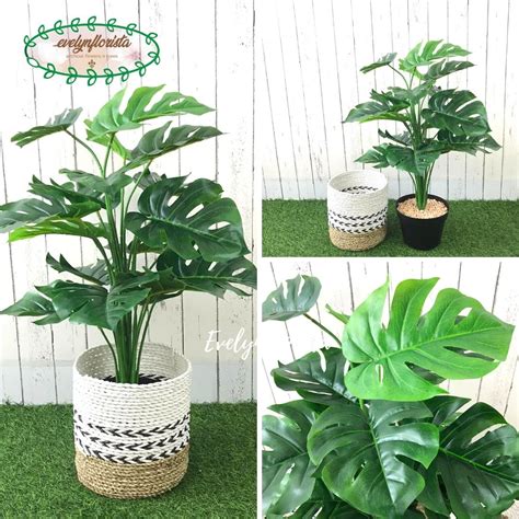 Pohon Daun Monstera Tapak Gajah X18 Semi Latex Artificial Pot Dasar