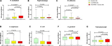 Frontiers Circulating And Salivary Antibodies To Fusobacterium